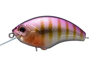 Collection image for: Crank