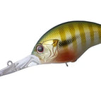 GH45 - Green Gill JDM