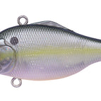 Sexy Shad II