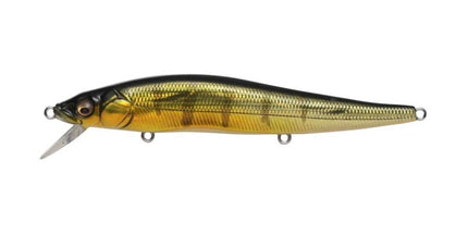MEGABASS Vision OneTen SR (Senior)