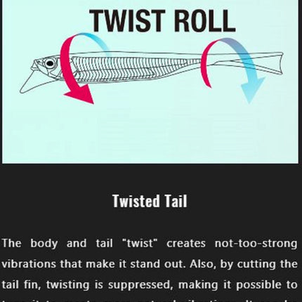 JACKALL Driftfry 4" Elastomer